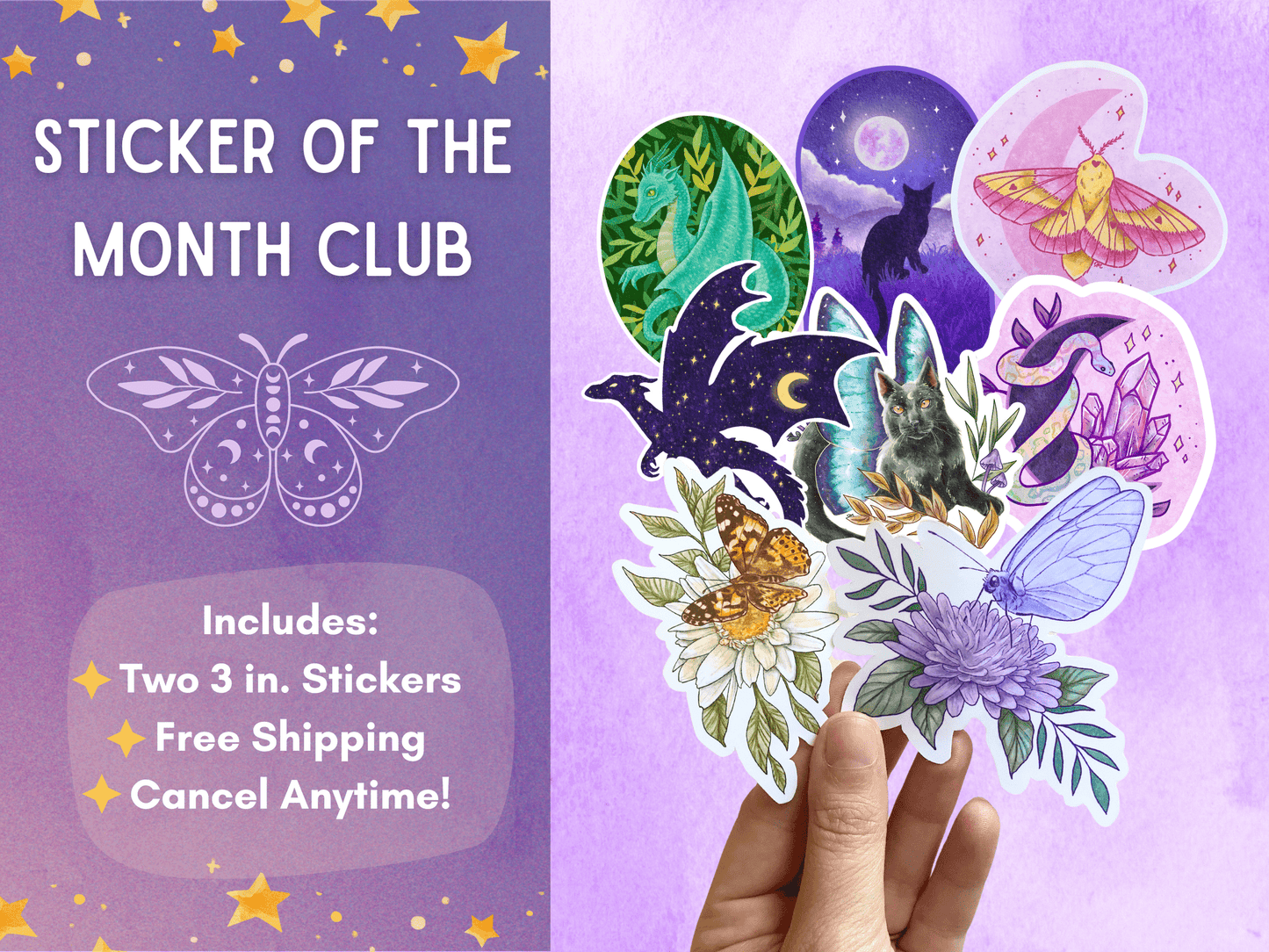 Sticker of the Month Club - Debra Marie Art