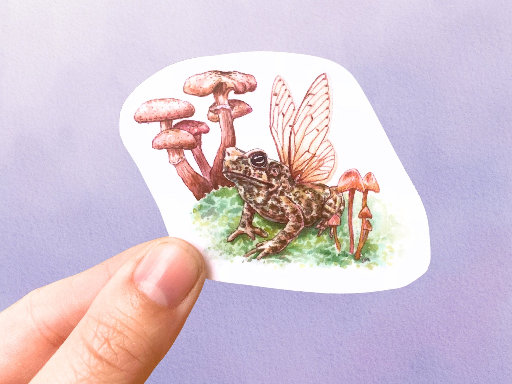 Toad Frog Mushroom Sticker | Witchy Forest Sticker |  Pagan Animal Decor - Debra Marie Art