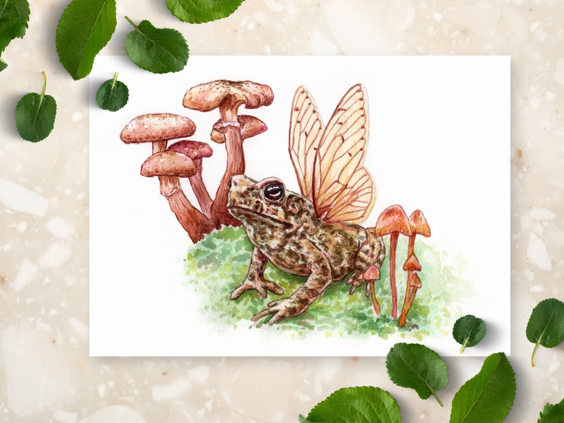 Toad Frog Mushroom Familiar Art Print | Witchy Forest Wall Art |  Pagan Home Decor - Debra Marie Art