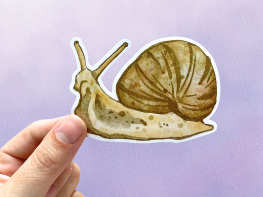 Cute Snail Vinyl Art Sticker | Animal Woodland Nature Watercolor Stickers | Cottagecore Garden Sticker - Debra Marie Art