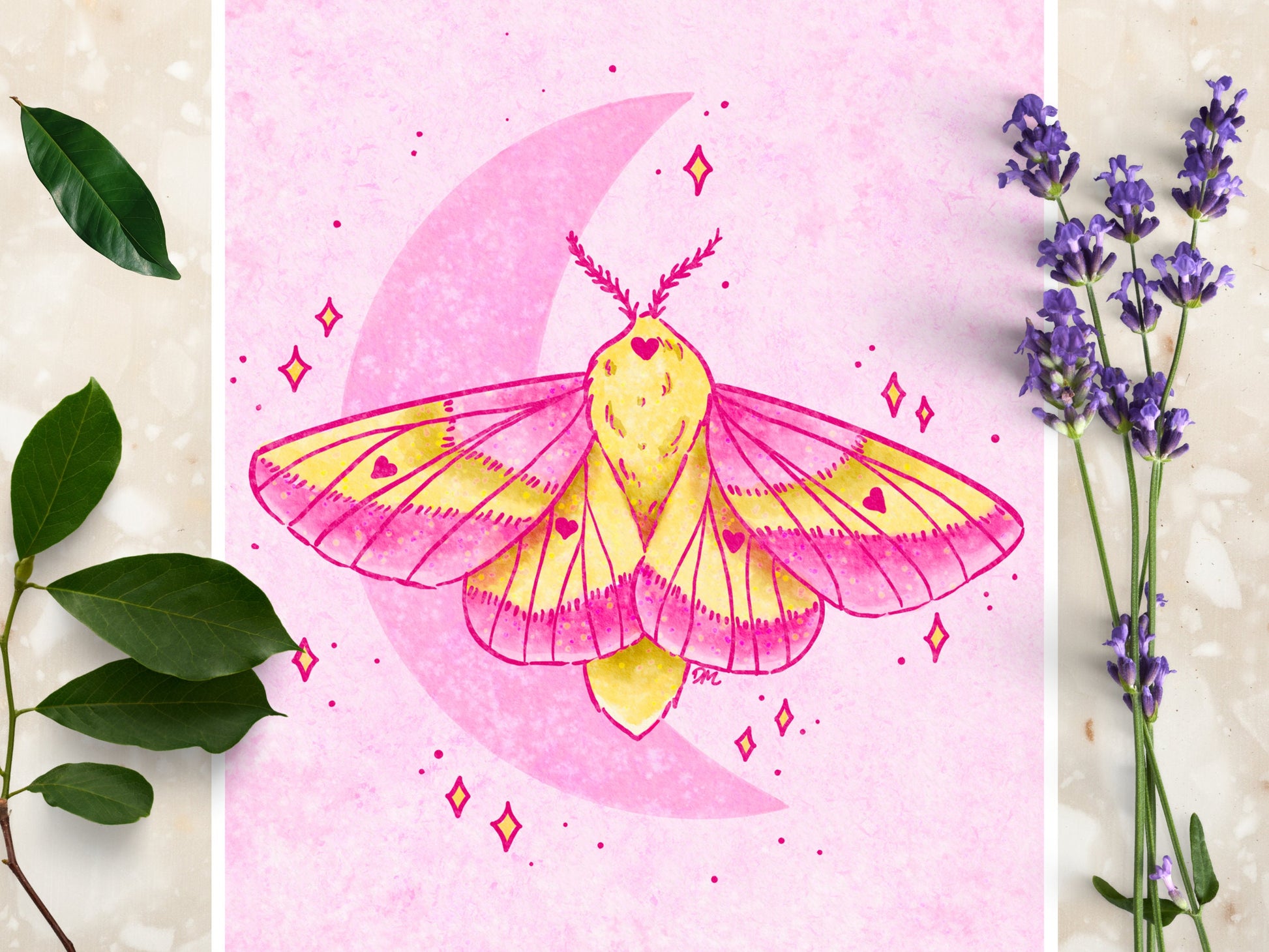 Celestial Pink Moth Art Print | Nature Animal Art Home | Insect Wall Decor - Debra Marie Art