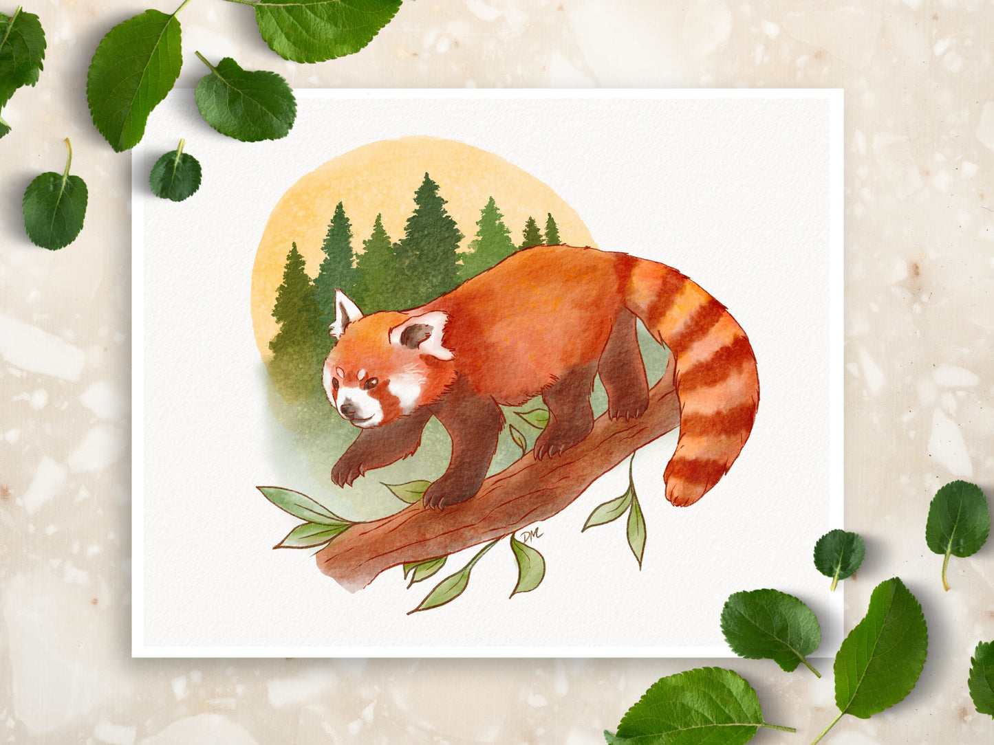 Red Panda Art Print | Nature Animal Art Home | Forest Wall Decor - Debra Marie Art