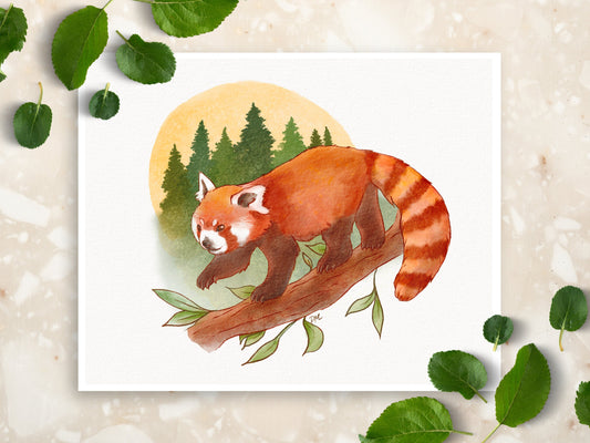 Red Panda Art Print | Nature Animal Art Home | Forest Wall Decor - Debra Marie Art