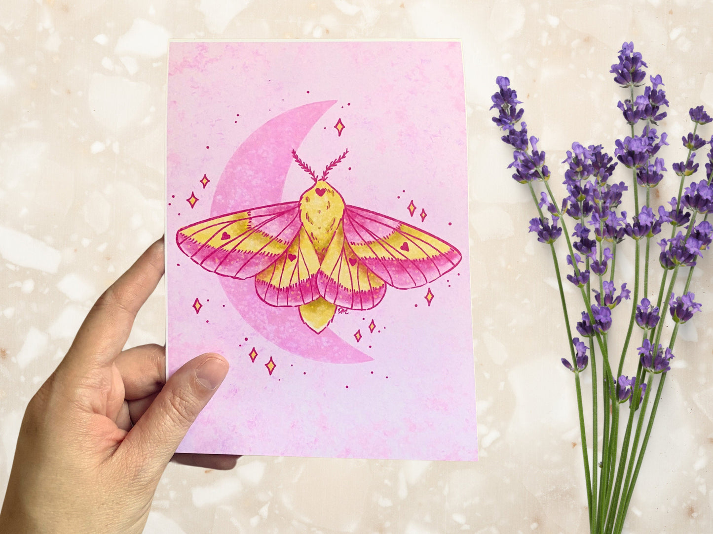 Celestial Pink Moth Art Print | Nature Animal Art Home | Insect Wall Decor - Debra Marie Art