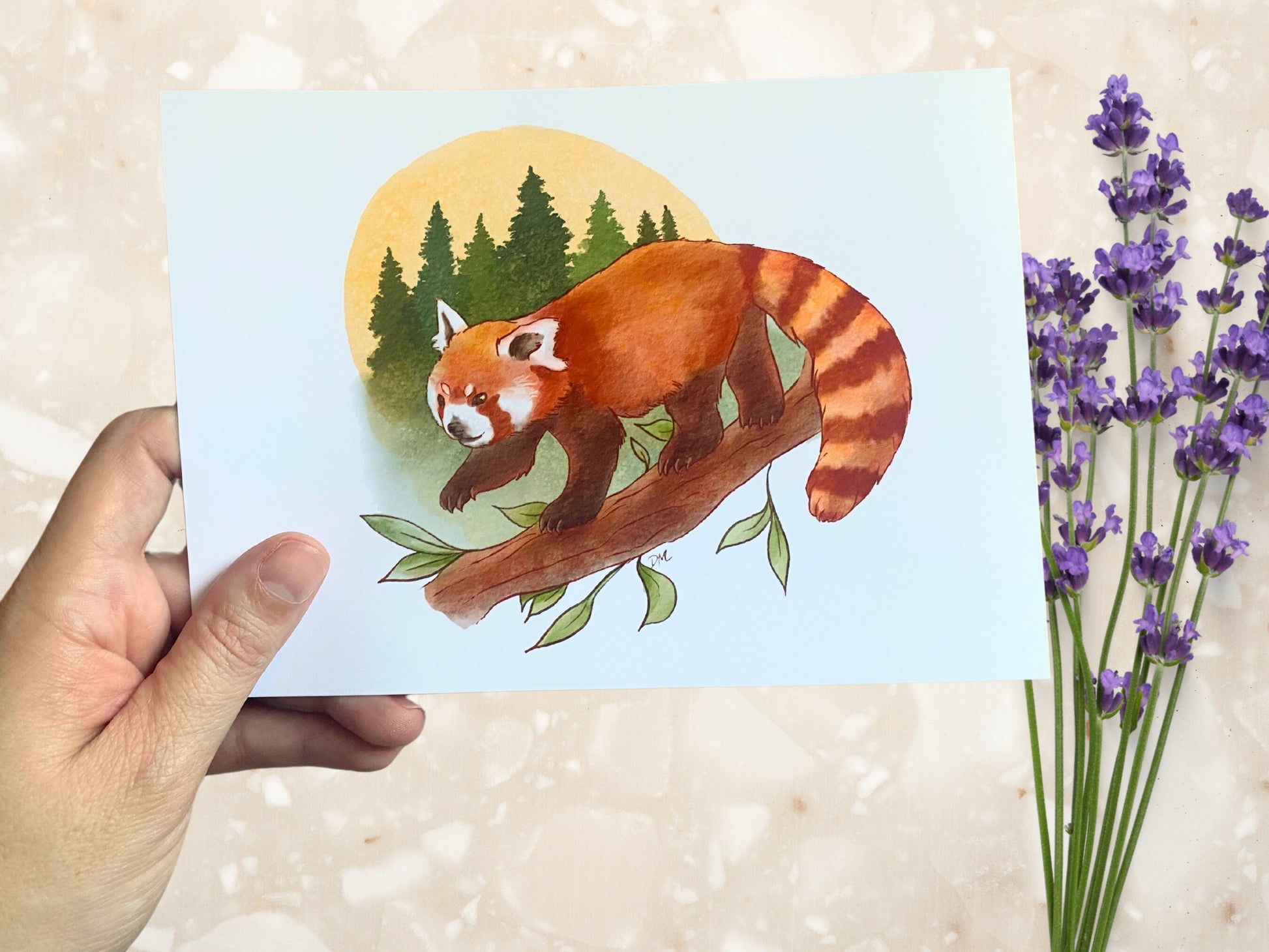 Red Panda Art Print | Nature Animal Art Home | Forest Wall Decor - Debra Marie Art