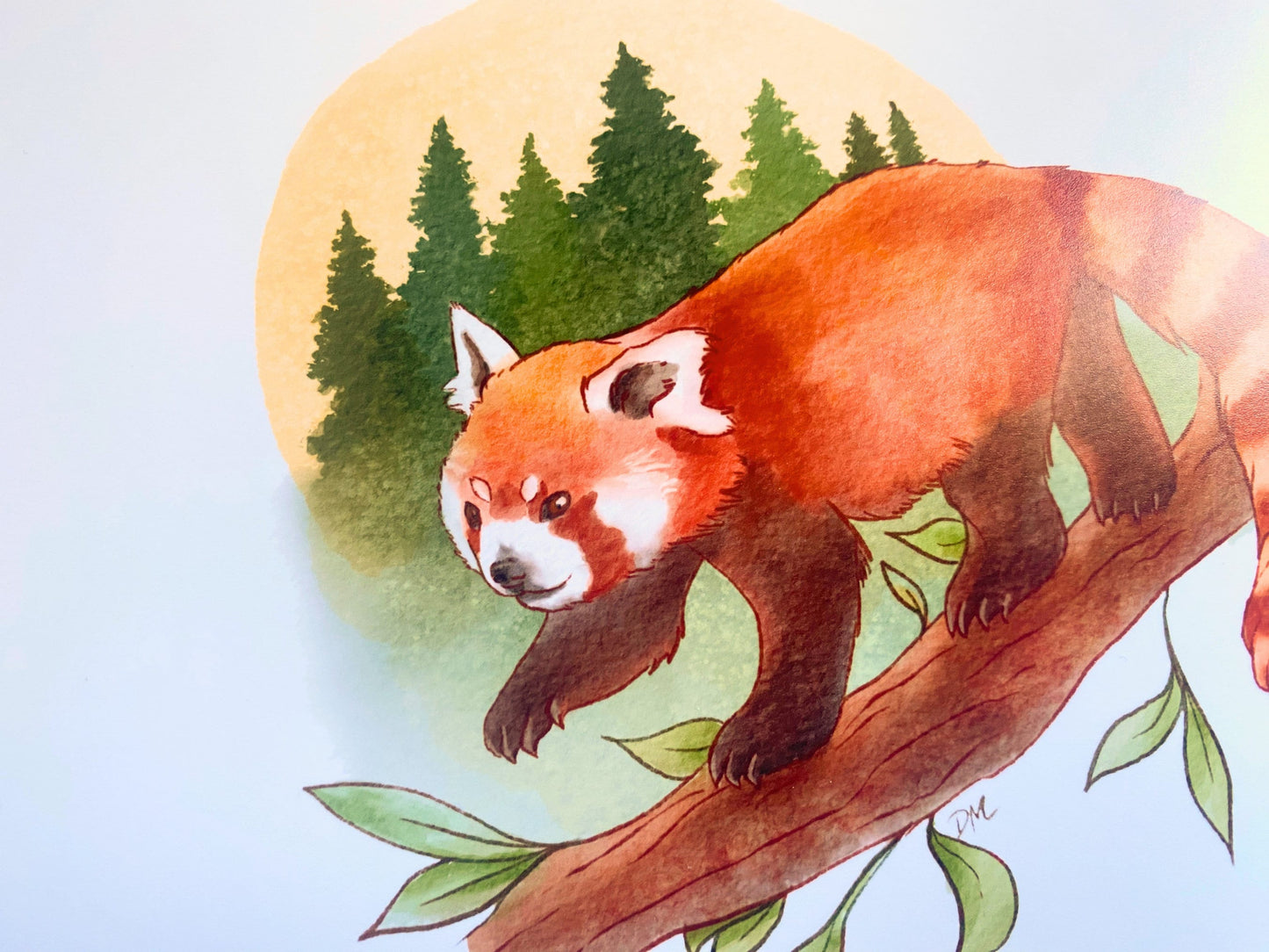 Red Panda Art Print | Nature Animal Art Home | Forest Wall Decor - Debra Marie Art