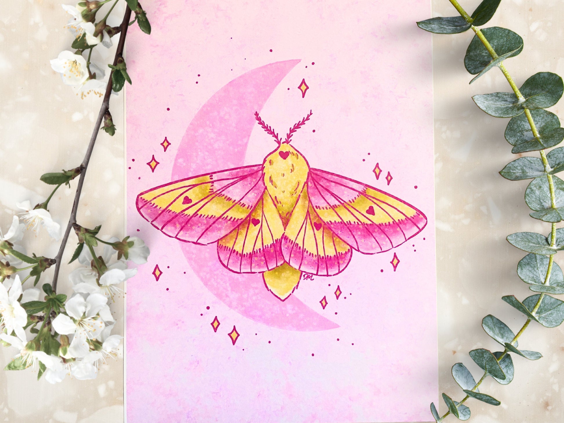 Celestial Pink Moth Art Print | Nature Animal Art Home | Insect Wall Decor - Debra Marie Art