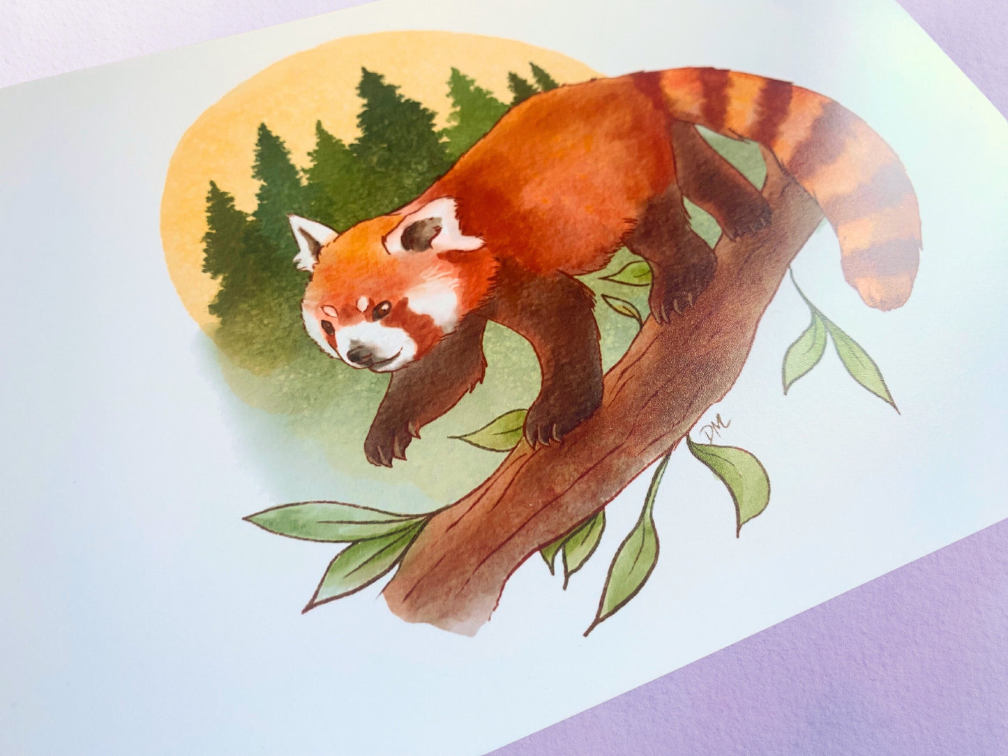 Red Panda Art Print | Nature Animal Art Home | Forest Wall Decor - Debra Marie Art