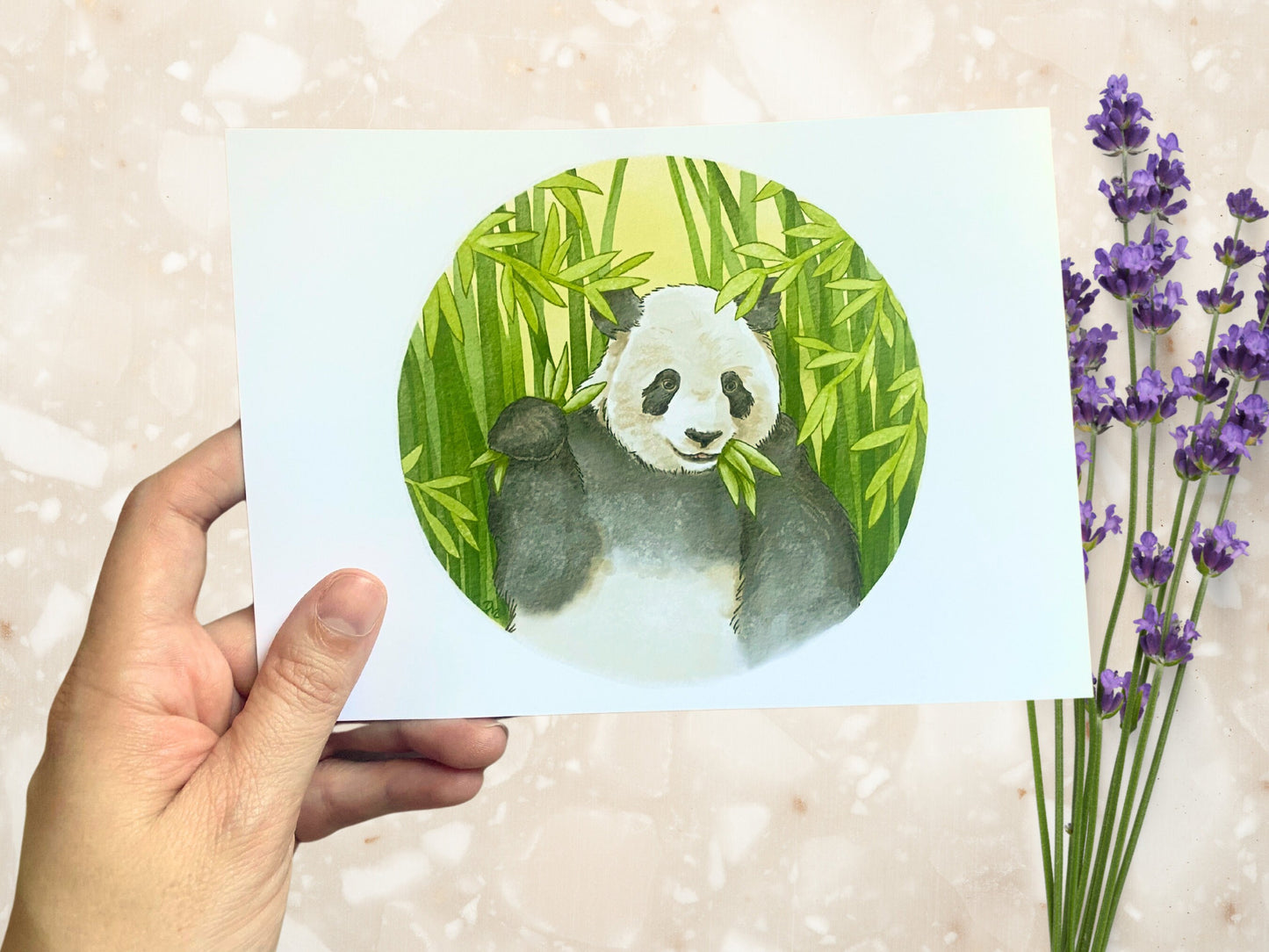 Panda Bamboo Art Print | Animal Art Home | Nature Wall Decor - Debra Marie Art