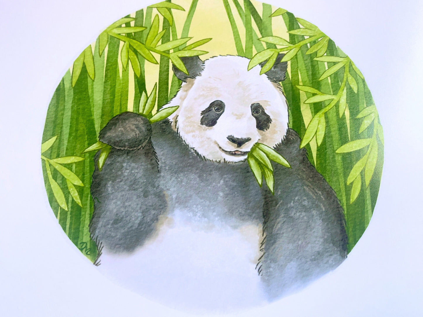 Panda Bamboo Art Print | Animal Art Home | Nature Wall Decor - Debra Marie Art